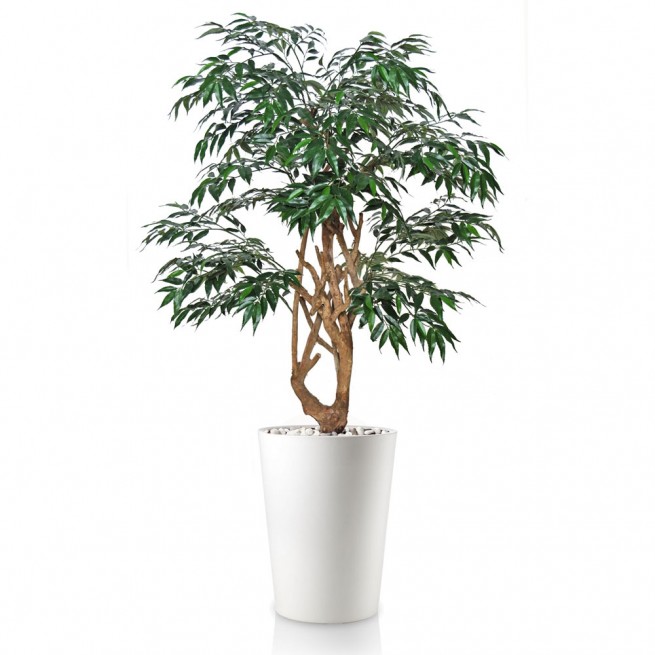 Planta semi-artificiala Ila, Myrsifolia Sylish Green - 150 cm
